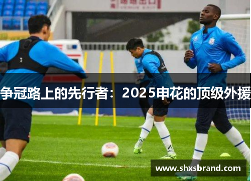 争冠路上的先行者：2025申花的顶级外援